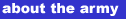 about_army_toc.GIF (623 bytes)